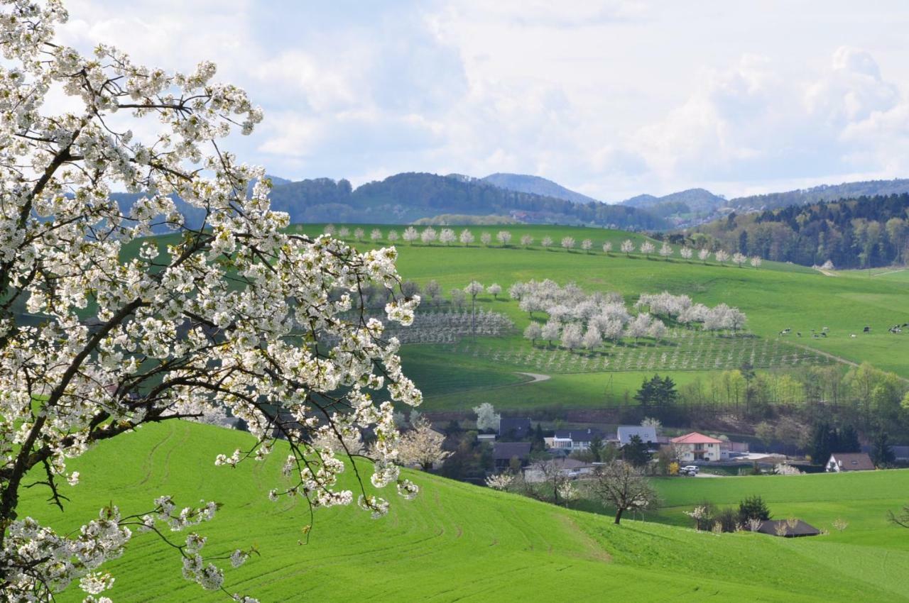 B&B Zum Rossli Zunzgen 외부 사진